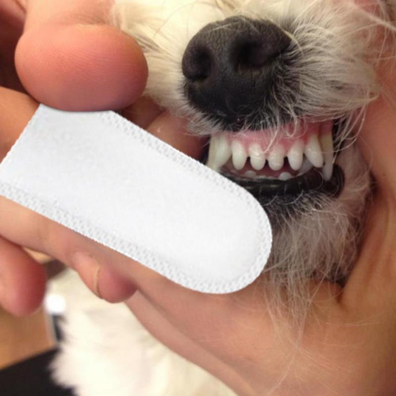 50 adet önceden düzeltilmiş ev - Pet Ear Cleaner incelemesi ve fiyatı