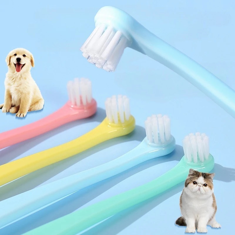 Köpek Diş Fırçası Köpek Diş Te - Pet Supplies Dog Food incelemesi ve fiyatı