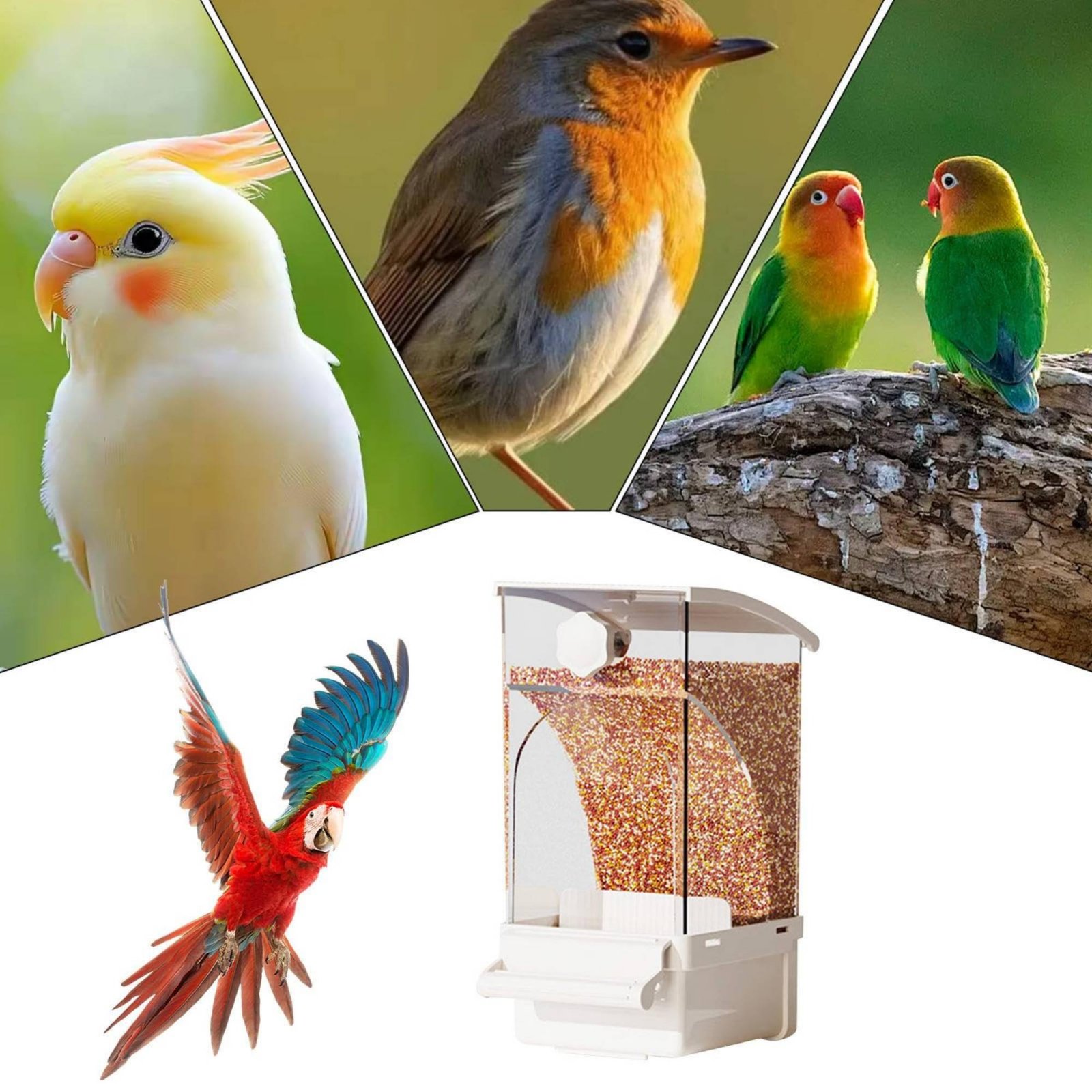 Otomatik Kuş Yemliği Kabuk Ayı - Pet Supplies In incelemesi ve fiyatı