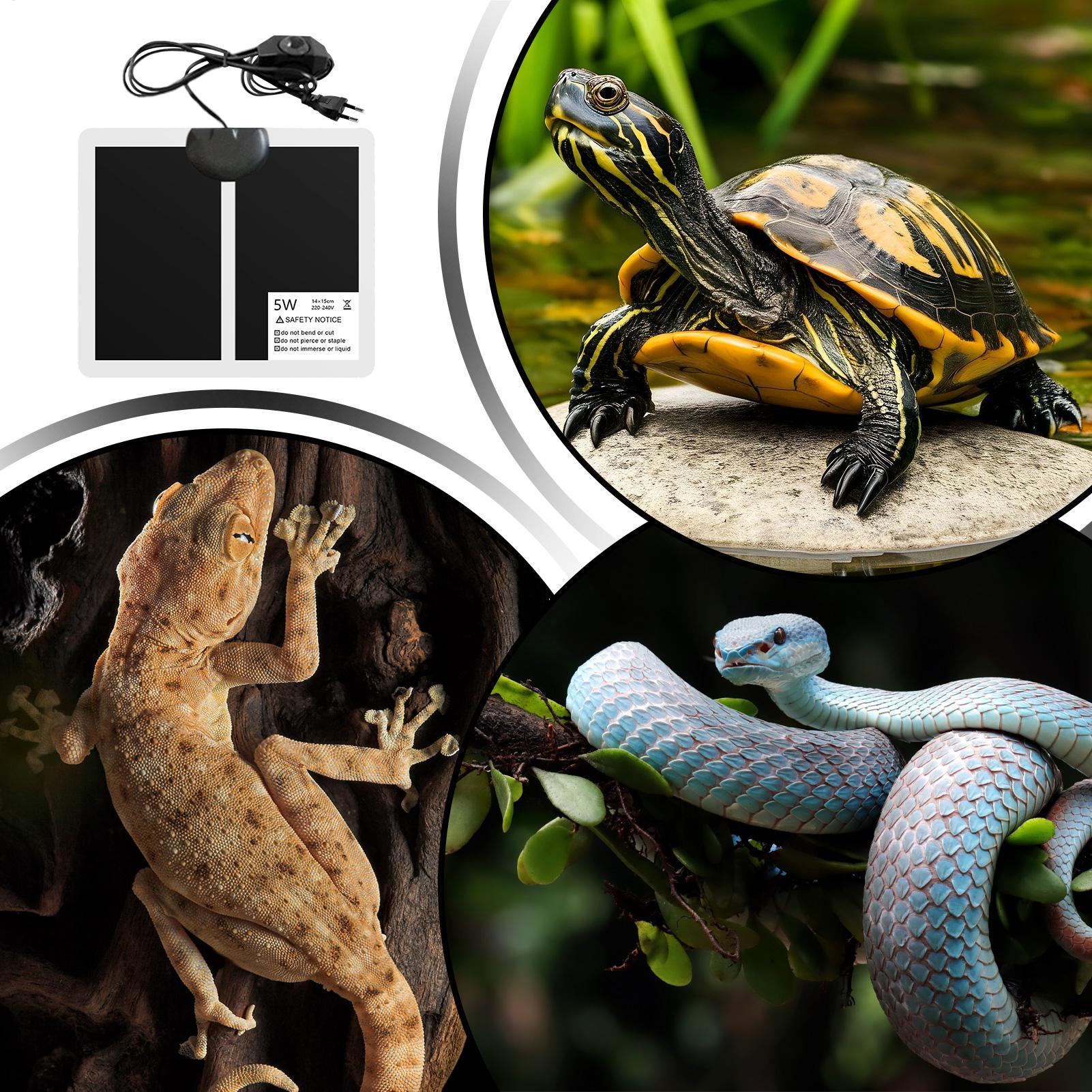 Sürüngenler İçin Isıtma Matı 5 - Reptile Heating Mat incelemesi ve fiyatı