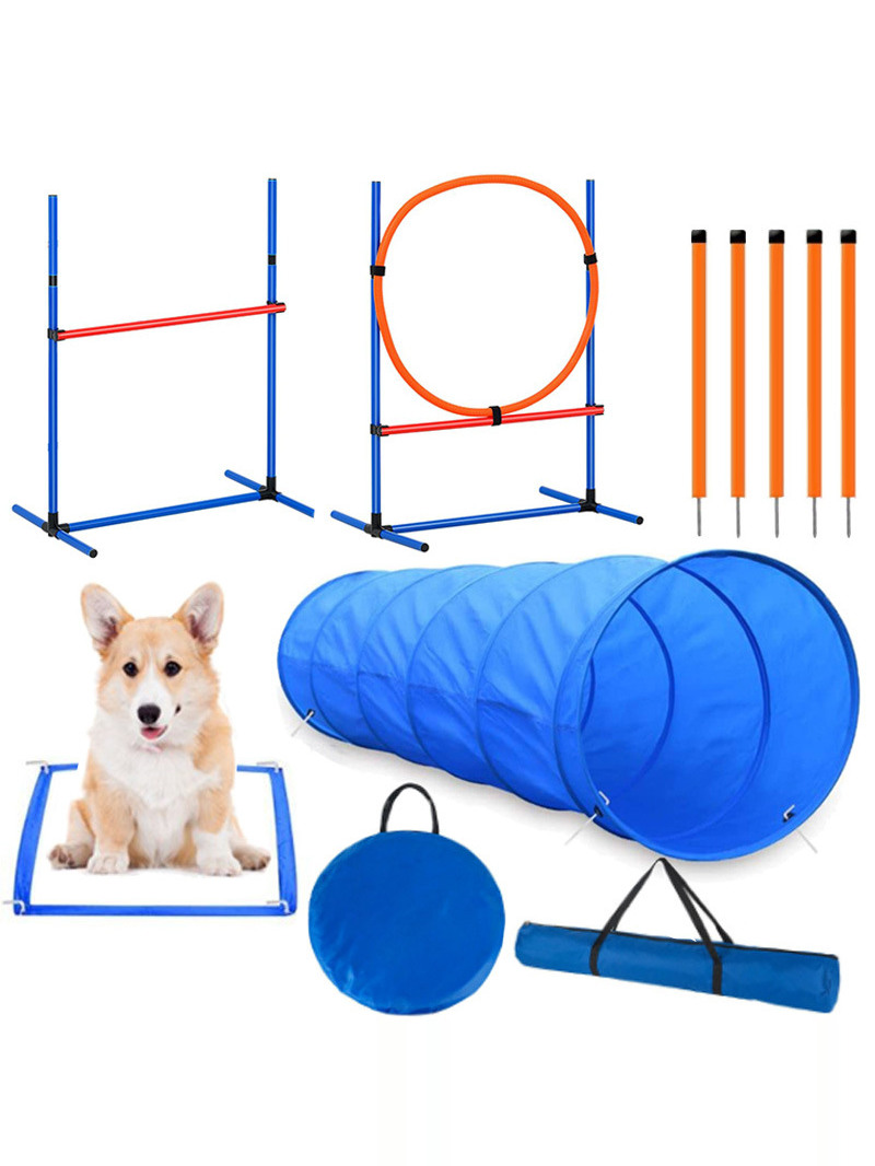 Köpek Engel Eğitimi Yarışma Ma - Pet Supplies In incelemesi ve fiyatı