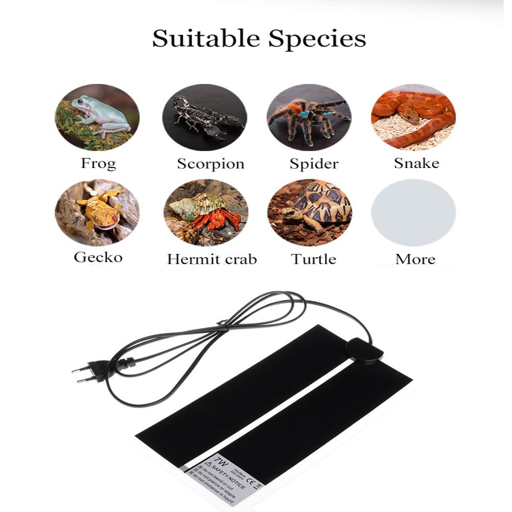 AC110V~240V Sürüngenler İçin K - Reptile Heating Mat incelemesi ve fiyatı