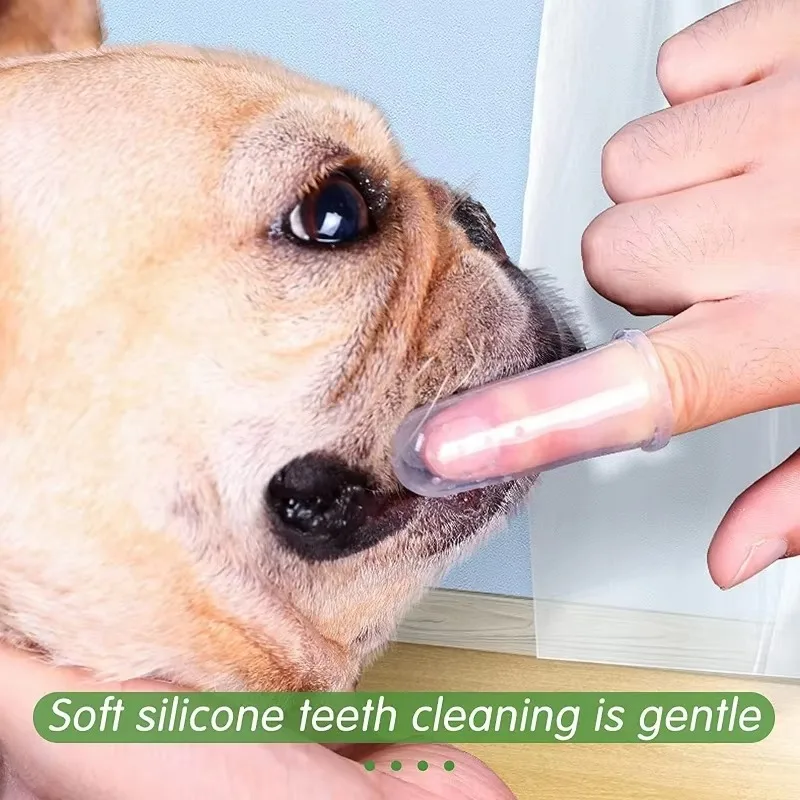 Süper Yumuşak Evcil Hayvan Par - Pet Supplies Dog Food incelemesi ve fiyatı